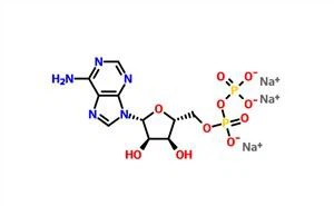Adenozin 5'-difosfat natrijeva sol (ADP) CAS 20398-34-9